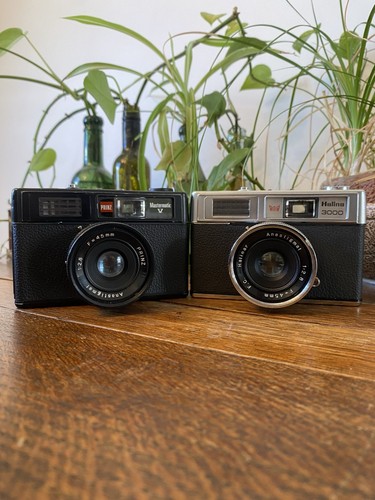 Halina 3000 and prinz - halina,