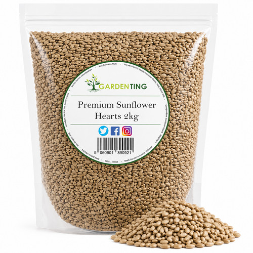 Garden ting sunflower hearts - garden,
