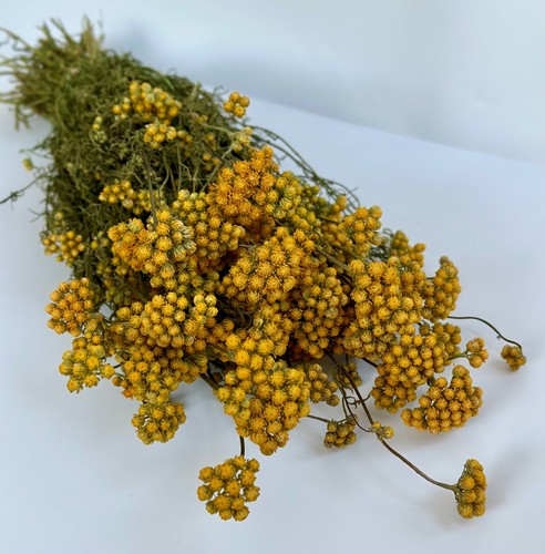 Natural dried flowers yellow - natural,