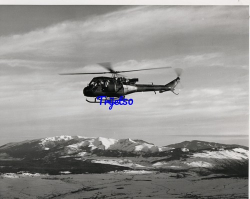 10x8 photo westland - b&w,