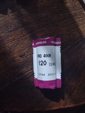 Expired Fujifilm Pro 400H 120 Film ISO 400 2012-10