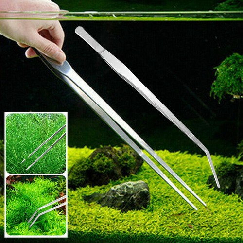Long fish tank - plant, tweezers