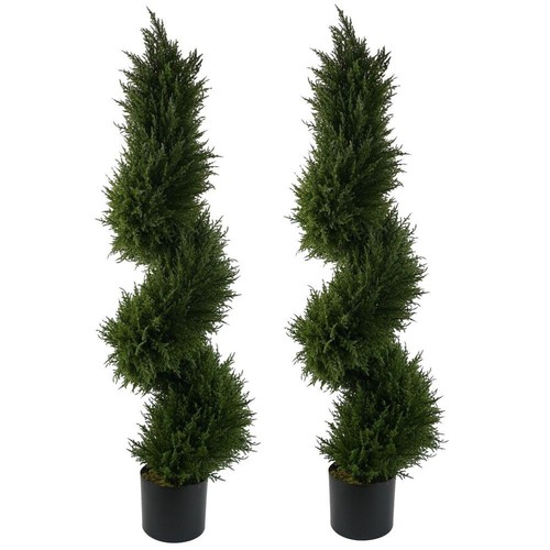 120cm pair spiral cypress - of,