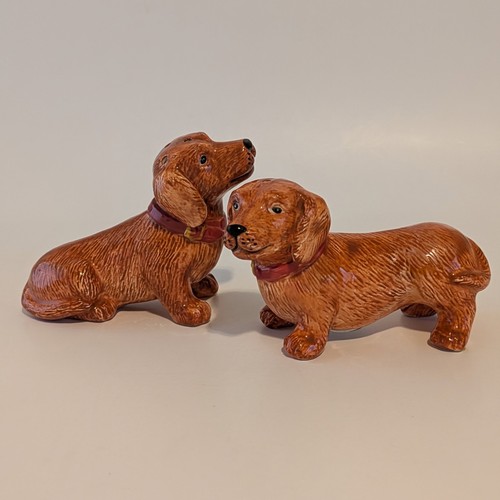 Dachshund doxie weiner dog - dachshund,