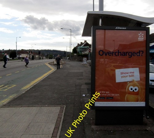 Photo 6x4 zingy featured - featured, an