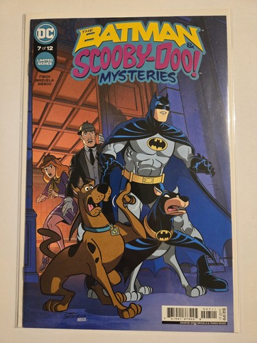 Batman scooby doo - batman, mysteries