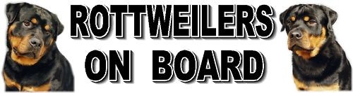 Rottweilers board car - on,