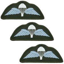 Airborne Para Wings 3 Pack -