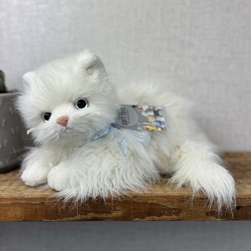 Sugar white persian - sugar,