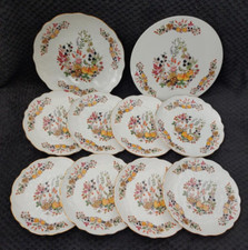 Aynsley Somerset Plates 21cm x 8, 26.5cm x 1, cake/cheese plate 26.5cm Party set