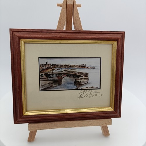 Framed watercolor - 🖼️,