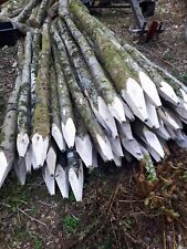 Deer fence posts 8ft Chestnut