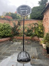 Netball/Basketball Net
