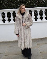 Full length  Long Arctic Fox