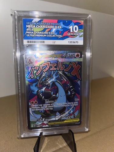 Pokémon tcg mega charizard - pokémon,