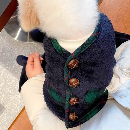 Little dog winter - little,