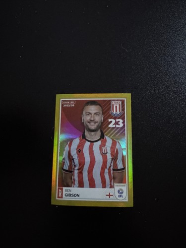Panini efl 2025 - panini, gibson