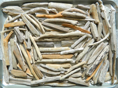 100 driftwood pieces for arts - driftwood,