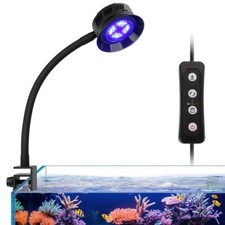 Marine aquarium saltwater - aquarium,