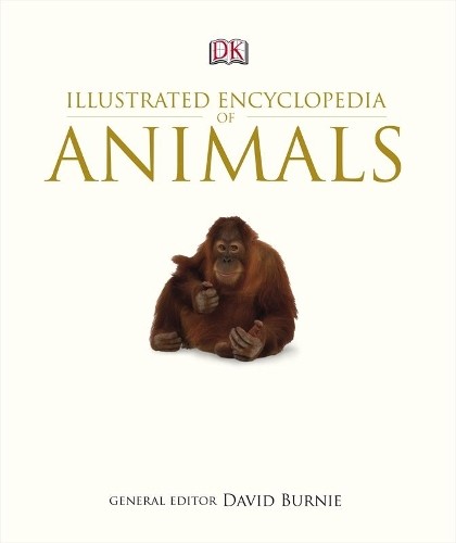 Illustrated encyclopedia - illustrated,