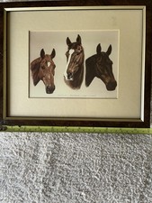 Horse Portraits Of 3 Grand