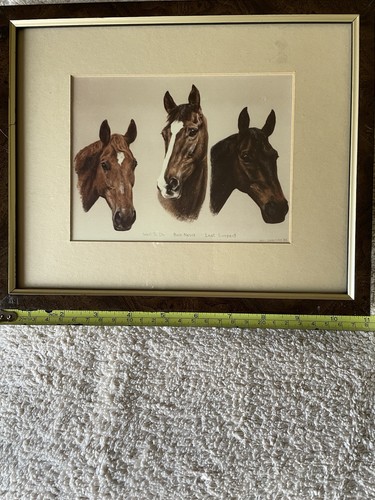 Horse portraits grand - portraits,
