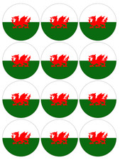 Edible Wales Flag Cupcake