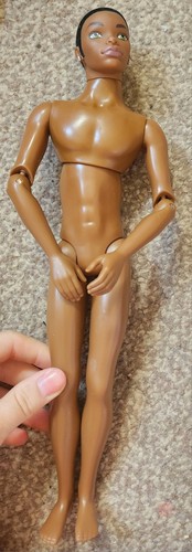 Barbie doll african male - african,