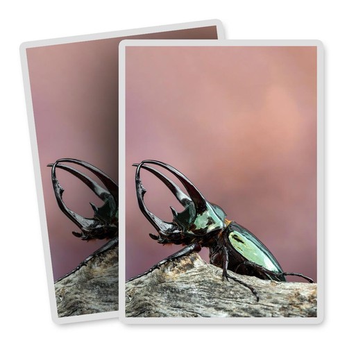 Vertical vinyl stickers - vinyl,