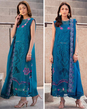 Pakistani indian Designer
