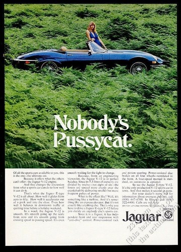 1974 jaguar xke roadster - xke, xk-e