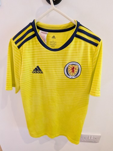 Scotland 2017 away top - ,