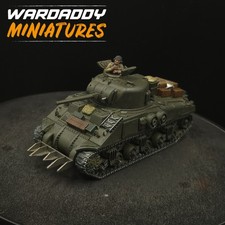 Pro Painted 28mm Bolt Action