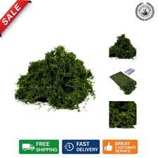 Lifelike 3.5oz Artificial Moss