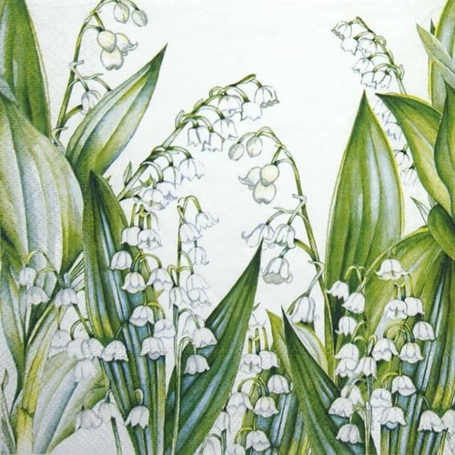 Single paper napkins for - 4x,
