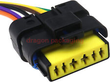 Renault Clio Mk3 Rear Tail Light Wired Plug Connector Pig-Tail Harness Cable