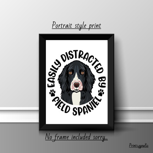 Field spaniel dog pet a4 - spaniel,