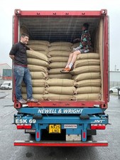 Brazilian green coffee beans