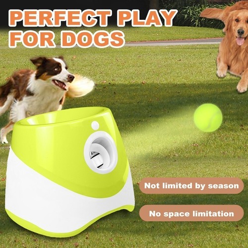 Dog automatic ball launcher - dog,