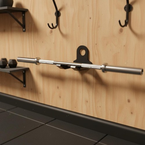 Single barbell mount - barbell,