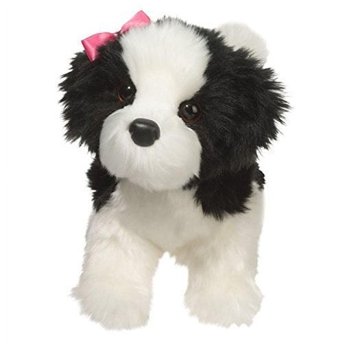 Douglas poofy shih - douglas,