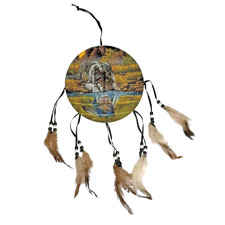 Native American Dream Catcher