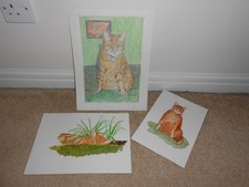 ART PAINTINGS  - CAT THEME - SET OF 3