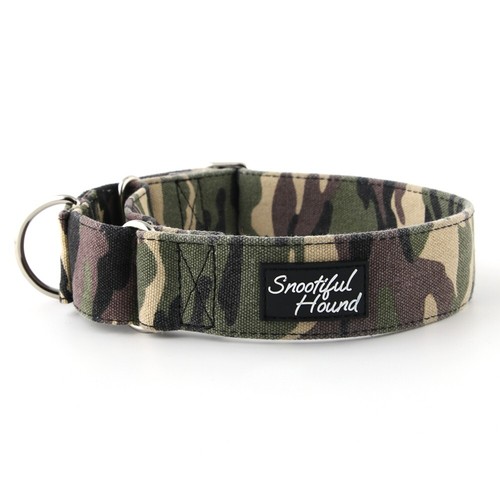 Snootiful hound martingale - hound,