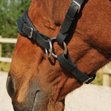 Sidepull Bitless Bridle