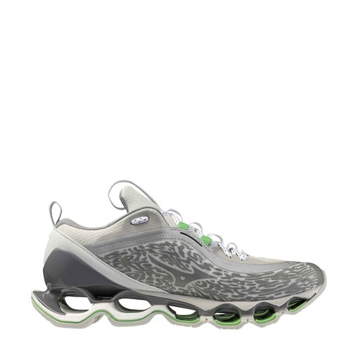 Mizuno wave prophecy 2 - wave, 13.2