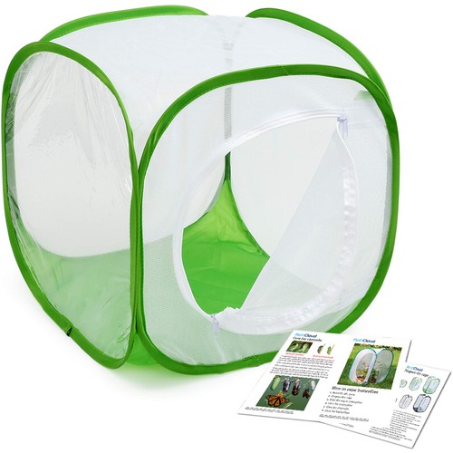 Insect and butterfly habitat - insect,