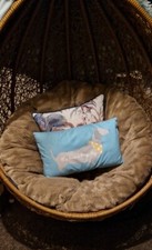 Next?  Sausage Dog Blue/Yellow