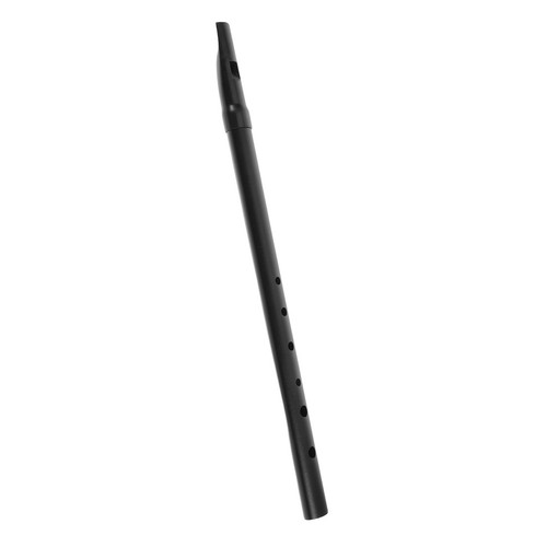 Novelty toy recorder for - recorder,