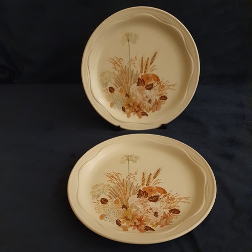 Vintage poole pottery - 80's,